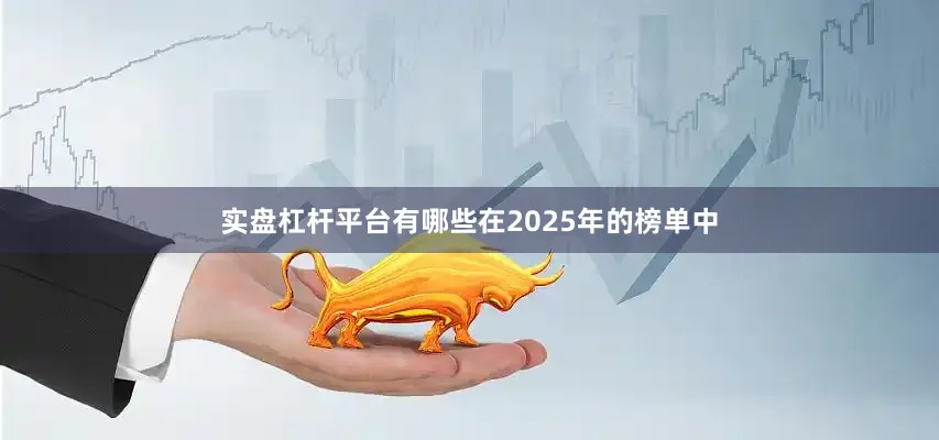 实盘杠杆平台有哪些在2025年的榜单中