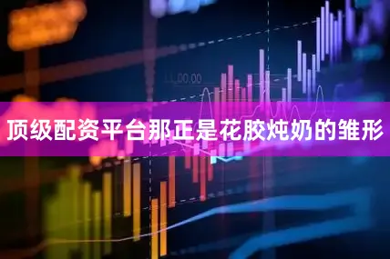 顶级配资平台那正是花胶炖奶的雏形
