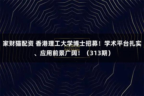 家财猫配资 香港理工大学博士招募！学术平台扎实、应用前景广阔！（313期）