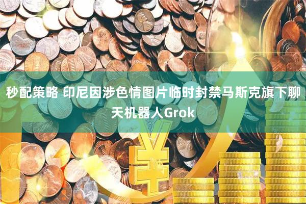 秒配策略 印尼因涉色情图片临时封禁马斯克旗下聊天机器人Grok