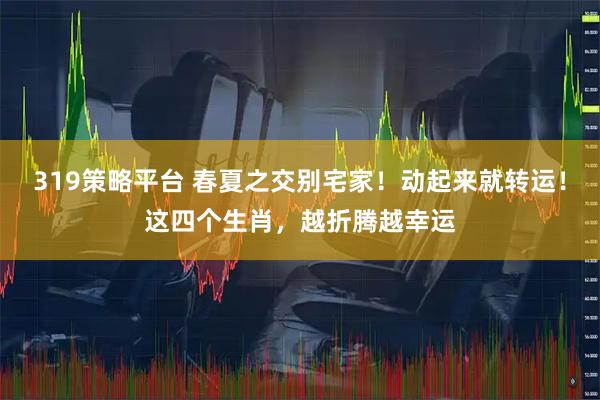 319策略平台 春夏之交别宅家！动起来就转运！这四个生肖，越折腾越幸运
