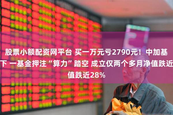 股票小额配资网平台 买一万元亏2790元！中加基金旗下 一基金押注“算力”踏空 成立仅两个多月净值跌近28%